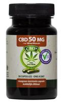 Jacob Hooy CBD 50mg Capsules - thumbnail