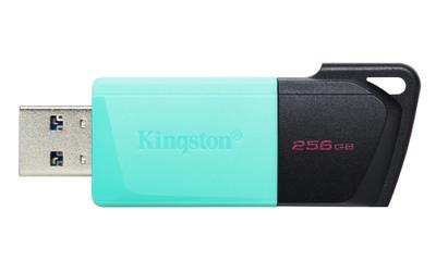 Pendrive Kingston DTXM/256GB Sleutelhanger Zwart Turkoois 256 GB