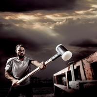 Halder Voorhamer | hoofd d. 100 mm lengte 1.000 mm | terugslagvrij, hoofdlengte 300 mm | hickory | 1 stuk - 3366.110 3366.110 - thumbnail