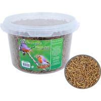 Meelwormen 4-seizoenen - thumbnail