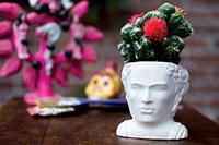 UPG Planter - Frida Kahlo
UPG Planter - Frida Kahlo - thumbnail