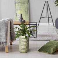 Asplenium Antiquum Varen kunstplant 60cm - thumbnail