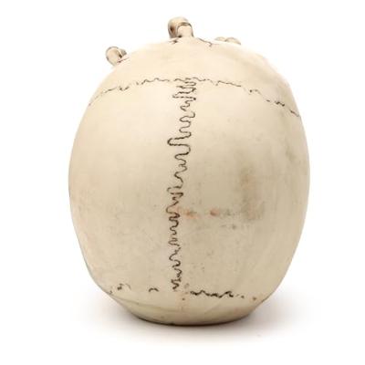 Schedel Hoofd met Skelet Klauw Woonaccessoire