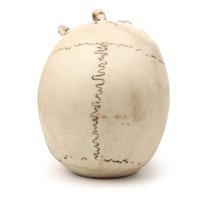 Schedel Hoofd met Skelet Klauw Woonaccessoire - thumbnail