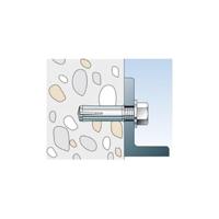 Fischer 48407 EA II M 12 x 50 D Inslaganker 50 mm 16 mm 25 stuk(s) - thumbnail