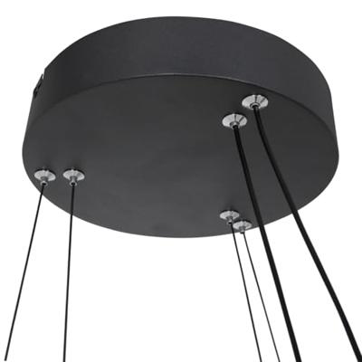 Steinhauer Led hanglampRinglux 2x led zwart - 3514ZW