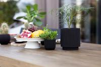 Vaas cilinder Groove 11x12 zwart binnenbloempot Capi Europe - Capi europe - thumbnail