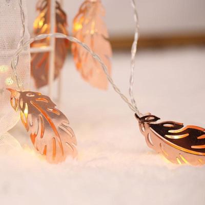 3m gouden veer USB Plug romantische LED String vakantie licht 20 LEDs Teenage stijl warme Fairy decoratieve Lamp voor Kerstmis bruiloft slaapkamer