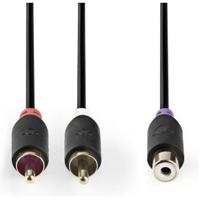 Nedis CABW24020AT02 Subwooferkabel 2x Rca Male - Rca Female 0,2 M Antraciet - thumbnail