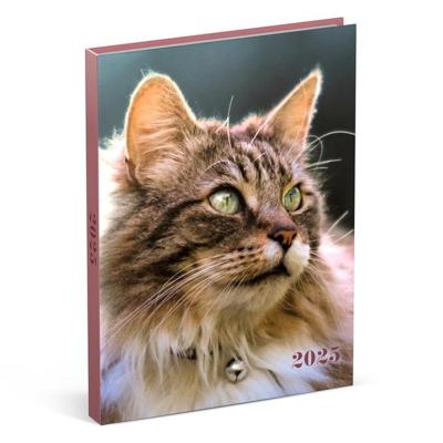 Agenda 2025 lannoo my favourite friends 7d/2p