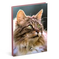 Agenda 2025 lannoo my favourite friends 7d/2p - thumbnail