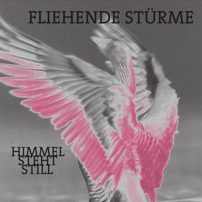 Himmel Steht Still - LP (4250137267821) Himmel Steht Still - LP (4250137267821)