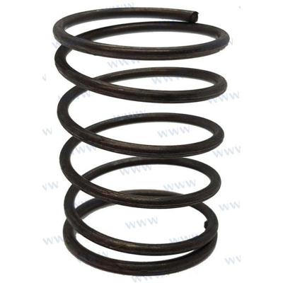 PAF6-04040007 - LENTE Parsun