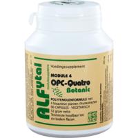 Alfytal OPC-quatro botanic met 4 polyfenolen 90 Vegetarische capsules - thumbnail