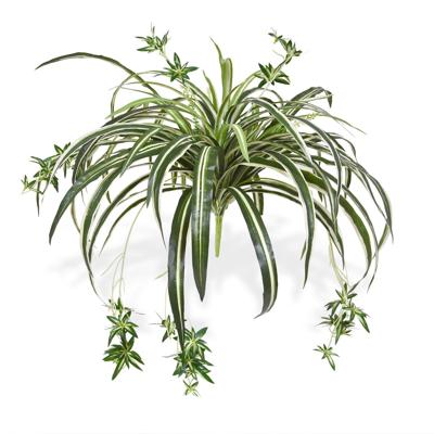 Chlorophytum Kunsthangplant 50cm
