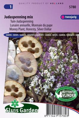 Tuin-Judaspenning bloemzaden – Judaspenning mix