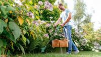 Bosch Groen easygrasscut 18v-26 bt | accutrimmer - 06008c1c04 - thumbnail