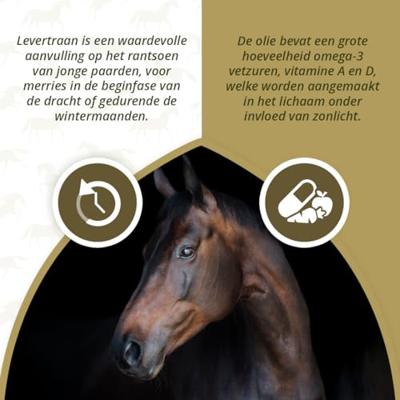 Excellent Horse Liver Oil 1 l