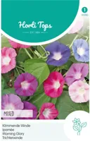Zaden Ipomoea Klimmende Winde gemengd Hortitops - Hortitops - thumbnail