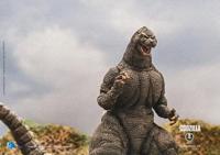 Godzilla Exquisite Basic Action Figure Godzilla vs King Ghidorah Godzilla Hokkaido 18 cm - thumbnail