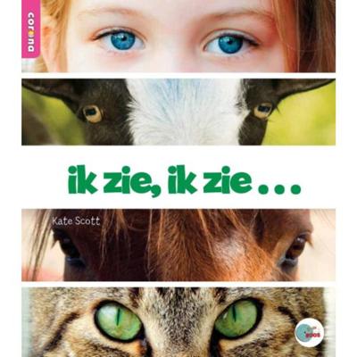 ik zie, ik zie (Paperback)