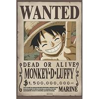 Poster One Piece - 61x91.5cm - thumbnail