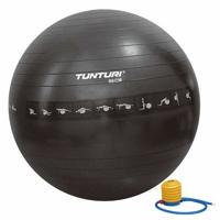 Tunturi Anti Burst Fitness bal met Pomp | Yoga bal 90 cm | 220 kg gebruikersgewicht | Incl Trainingsapp | Mint - thumbnail