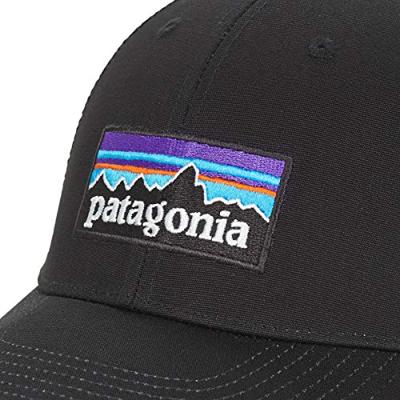 Patagonia P-6 Logo LoPro Trucker Outdoor Cap 1