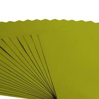 Florence • cardstock papier 216g textuur 30,5x30,5cm fern 20x - thumbnail