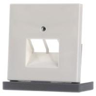 Jung Afdekking UAE-, IAE-, ISDN-contactdoos LS 990, LS design, LS plus Crème-wit LS969-2UA