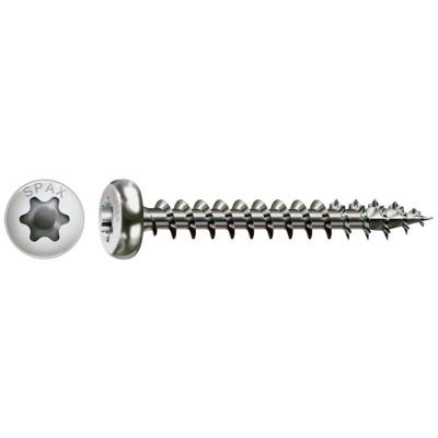 Spax bk t20 rvs 4,0x45(200)