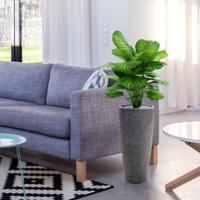 Calathea Fasciata kunstplant 80cm - thumbnail