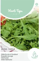 Zaden Wilde Rucola Hortitops - Hortitops - thumbnail