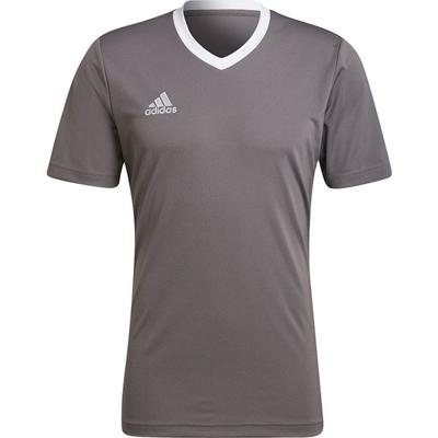 adidas Entrada 22 Voetbalshirt Grijs Wit