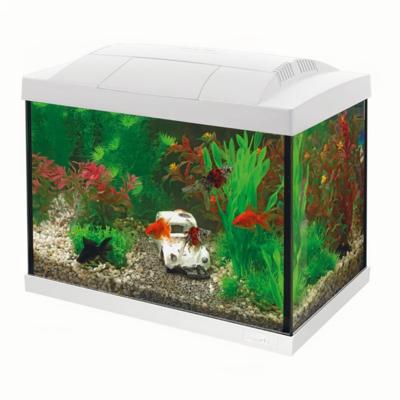 Superfish Start 20 goldfish kit wit