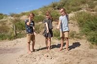 BS Toys vogels in actie hout kinderspel - thumbnail