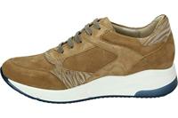 Verhulst 1334 K - alle - thumbnail