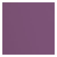 Florence • cardstock papier 216g textuur 30,5x30,5cm clematis 20x - thumbnail