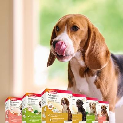 Beaphar Schapenvet bonbons met knoflook voor de hond 1 verpakking