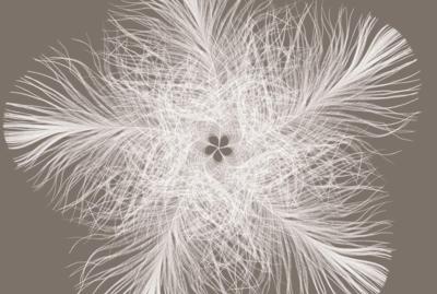 Komar Home; Komar Colours Fotobehang Federstern - XXL4-006