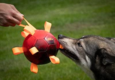 Dog Comets Hypernova - Hondenspeelgoed - Hondenbal met nylon lussen - Drijvend - Oranje - Ø 15 cm