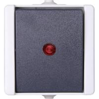 PROAQA Kopp SWD opbouw schakelaar wissel verlicht - 4628035 - thumbnail