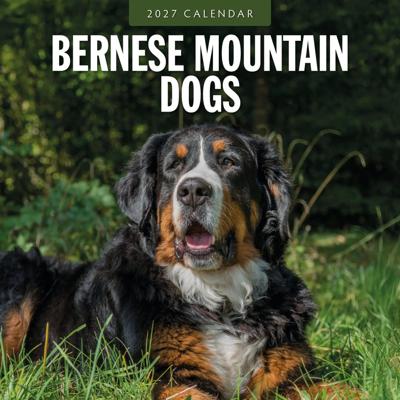 Berner Sennen Kalender 2027 Berner Sennen Kalender 2027