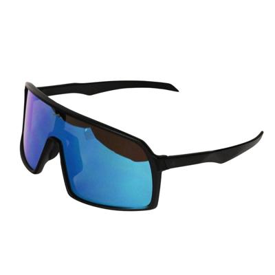 Buckels Signature Fietsbril 1