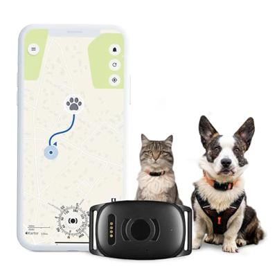 MiniFinder Atto Pro GPS-tracker Huisdiertracker, Live Tracking Zwart 1 stuk(s)