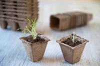 Turfpot H6x6x6cm set a 16 stuks Nature - Nature - thumbnail