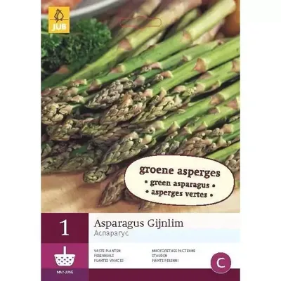 Asparagus gijnlim (groen) 1st bloembol zomer JUB - Jub