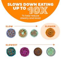 Imp Slo-bowl feeder mini coral spiraal oranje - thumbnail