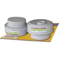 Leipold Doehle Eurfilter ETNA ABEK1P3 R Filterklasse/beschermingsgraad: ABEK1P3 R 2 stuk(s) - thumbnail