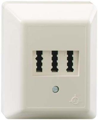 Rutenbeck AMS 1/2 NFU AP Telefoonaansluitdoos Opbouw (op muur) Rutenbeck AMS 1/2 NFU AP Telefoonaansluitdoos Opbouw (op muur)